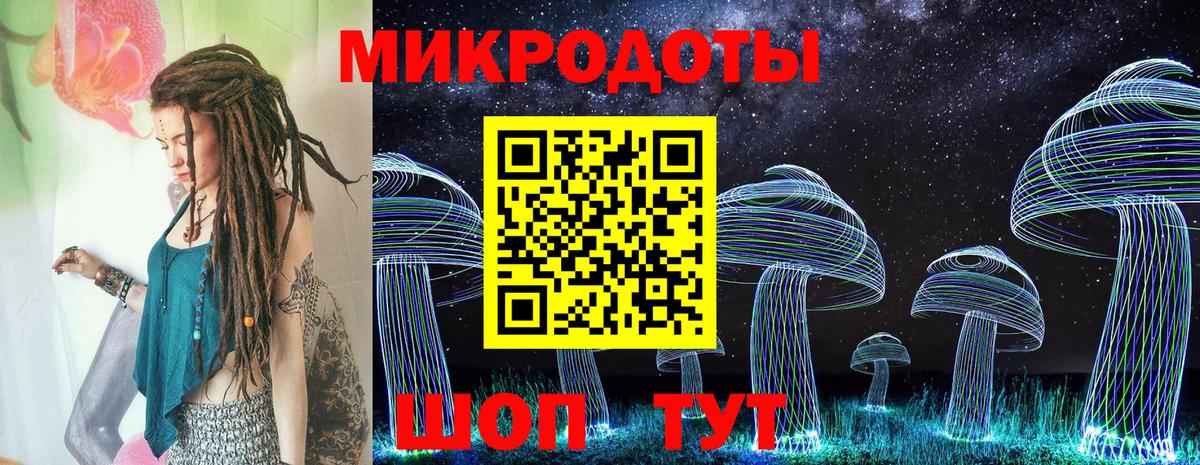 Галлюциногенные грибы Cubensis Георгиевск